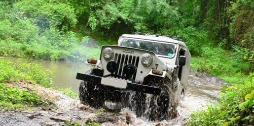 Kanthalloor Jungle Safari