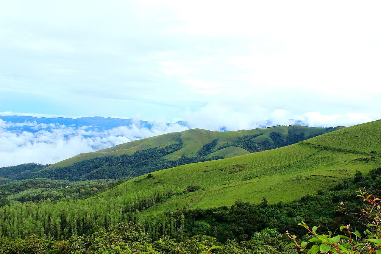 Must-Visit Places 