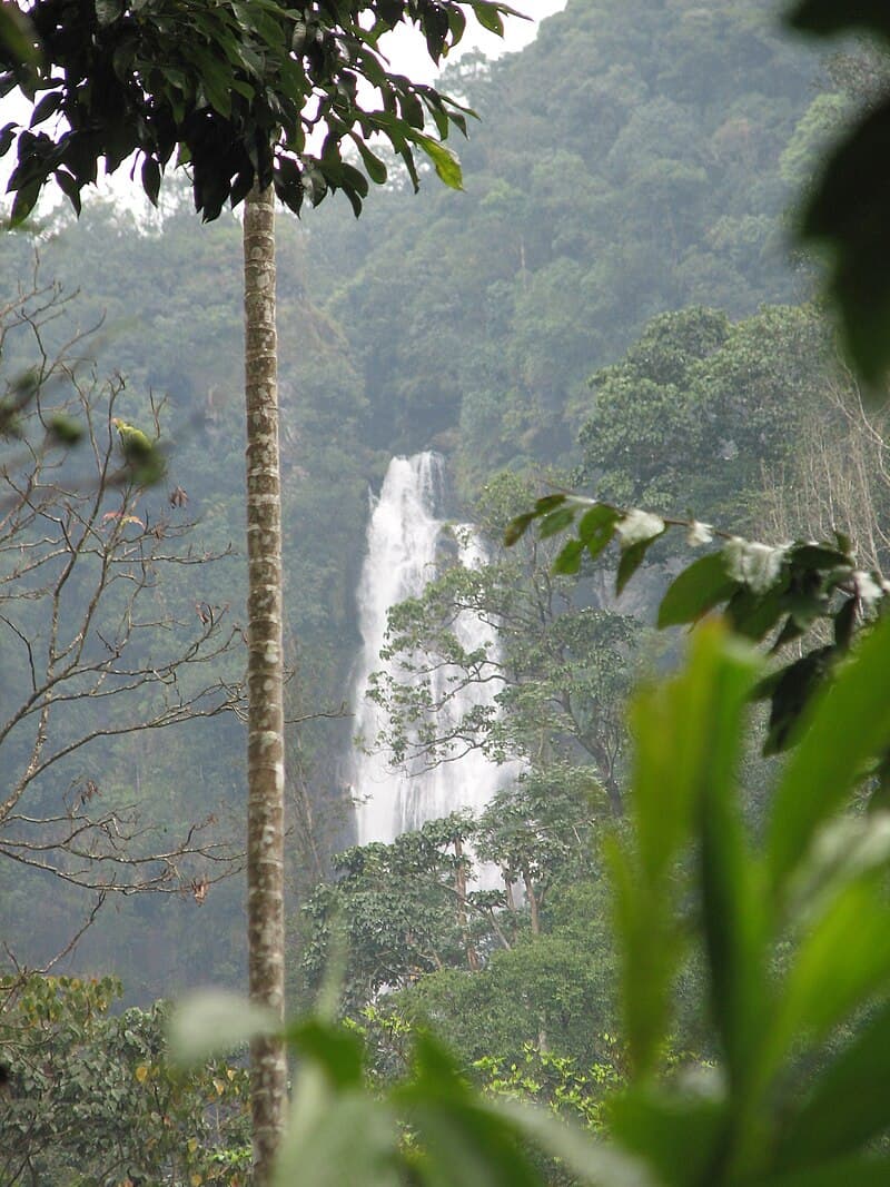 Where to Stay in Chikmagalur